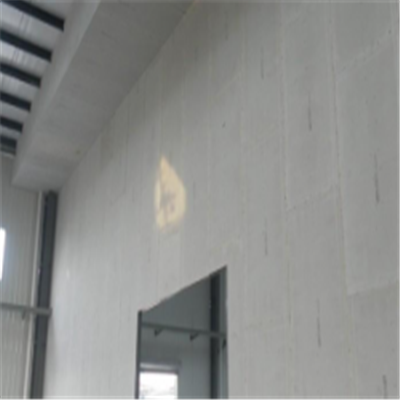 阎良新型建筑材料掺多种工业废渣的ALC|ACC|FPS模块板材轻质隔墙板
